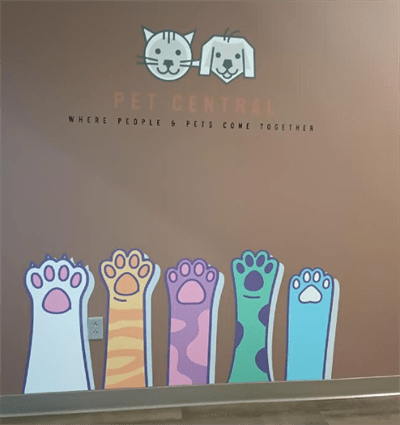 Wall Graphics Photo